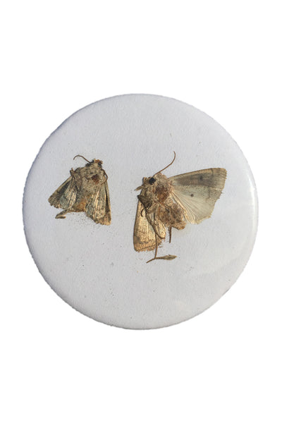 Badge Taste <br> Moths