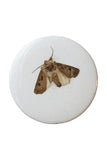 Badge Taste <br> Moth