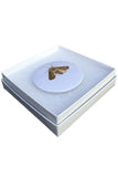 Badge Taste <br> Moth